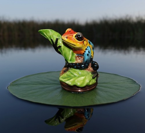 Halcyon days poison dart frog - dart,