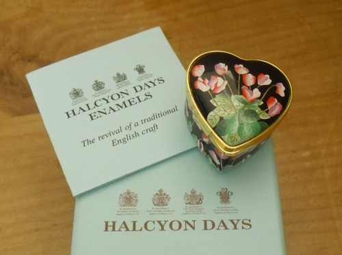 Boxed halcyon days cyclamen - boxed,